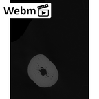 NH MER33 440 Pan troglodytes ellioti metacarpal fourth right ct stack movie