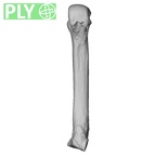 NH MER33 440 Pan troglodytes ellioti metacarpal fourth right ply
