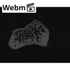 NH MER33 440 Pan troglodytes ellioti scaphoid right ct stack movie