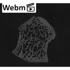NH MER33 440 Pan troglodytes ellioti trapezium left ct stack movie