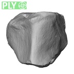 NH MER33 440 Pan troglodytes ellioti trapezoid right ply