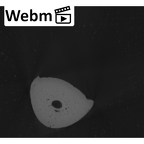NH MER33 712 Pan troglodytes troglodytes hand phalanx fifth proximal right ct stack movie