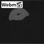 NH MER33 712 Pan troglodytes troglodytes hand phalanx fourth middle right ct stack movie