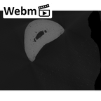 NH MER33 712 Pan troglodytes troglodytes hand phalanx fourth proximal right ct stack movie