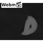 NH MER33 712 Pan troglodytes troglodytes hand phalanx second proximal right ct stack movie
