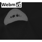 NH MER33 712 Pan troglodytes troglodytes hand phalanx third proximal right ct stack movie