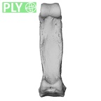 NH MER33 712 Pan troglodytes troglodytes hand phalanx third proximal right ply