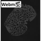 NH MER33 712 Pan troglodytes troglodytes lunate right ct stack movie