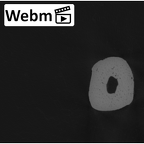NH MER33 712 Pan troglodytes troglodytes metacarpal fifth right ct stack movie