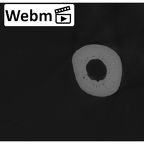 NH MER33 712 Pan troglodytes troglodytes metacarpal third right ct stack movie