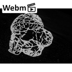 NH MER33 719 Pan troglodytes schweinfurthii hamate right ct stack movie