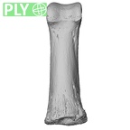 NH MER33 719 Pan troglodytes schweinfurthii hand phalanx first proximal right ply