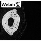 NH MER33 719 Pan troglodytes schweinfurthii hand phalanx second proximal right ct stack movie