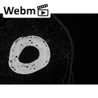 NH MER33 719 Pan troglodytes schweinfurthii metacarpal fifth right ct stack movie