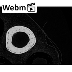 NH MER33 719 Pan troglodytes schweinfurthii metacarpal fourth right ct stack movie