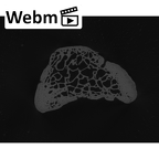 NH MER33 724 Pan troglodytes troglodytes capitate left ct stack movie
