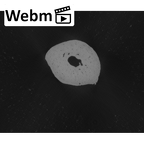 NH MER33 724 Pan troglodytes troglodytes hand phalanx fifth middle left ct stack movie