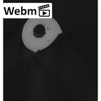 NH MER33 724 Pan troglodytes troglodytes hand phalanx fifth proximal left ct stack movie