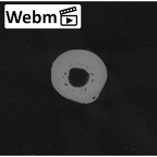 NH MER33 724 Pan troglodytes troglodytes hand phalanx first proximal left ct stack movie