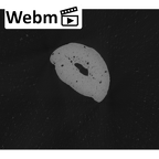 NH MER33 724 Pan troglodytes troglodytes hand phalanx fourth middle left ct stack movie