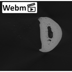 NH MER33 724 Pan troglodytes troglodytes hand phalanx second proximal left ct stack movie