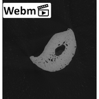 NH MER33 724 Pan troglodytes troglodytes hand phalanx third middle left ct stack movie