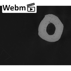 NH MER33 724 Pan troglodytes troglodytes metacarpal fifth left ct stack movie