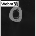 NH MER33 724 Pan troglodytes troglodytes metacarpal first left ct stack movie