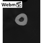 NH MER33 724 Pan troglodytes troglodytes metacarpal fourth left ct stack movie