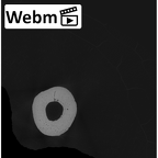 NH MER33 724 Pan troglodytes troglodytes metacarpal second left ct stack movie
