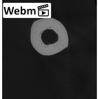 NH MER33 724 Pan troglodytes troglodytes metacarpal third left ct stack movie