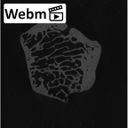 NH MER33 724 Pan troglodytes troglodytes trapezoid left ct stack movie