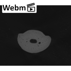 NH MER35 105 Pan troglodytes troglodytes hand phalanx fifth middle right ct stack movie