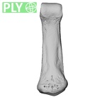 NH MER35 105 Pan troglodytes troglodytes hand phalanx fifth middle right ply
