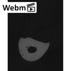 NH MER35 105 Pan troglodytes troglodytes hand phalanx fifth proximal right ct stack movie