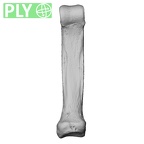 NH MER35 105 Pan troglodytes troglodytes hand phalanx fifth proximal right ply