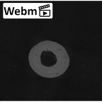NH MER35 105 Pan troglodytes troglodytes hand phalanx first proximal right ct stack movie