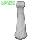 NH MER35 105 Pan troglodytes troglodytes hand phalanx fourth middle right ply