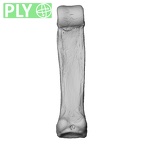 NH MER35 105 Pan troglodytes troglodytes hand phalanx fourth proximal right ply