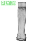 NH MER35 105 Pan troglodytes troglodytes hand phalanx third proximal right ply