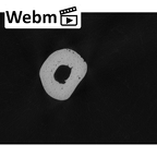 NH MER35 105 Pan troglodytes troglodytes metacarpal fifth right ct stack movie