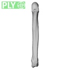 NH MER35 105 Pan troglodytes troglodytes metacarpal fifth right ply