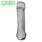 NH MER35 105 Pan troglodytes troglodytes metacarpal first right ply
