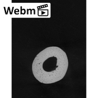 NH MER35 105 Pan troglodytes troglodytes metacarpal fourth right ct stack movie