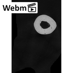 NH MER35 105 Pan troglodytes troglodytes metacarpal second right ct stack movie