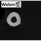 NH MER35 105 Pan troglodytes troglodytes metacarpal third right ct stack movie