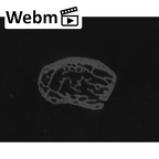 NH MER35 105 Pan troglodytes troglodytes pisiform right ct stack movie