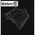 NH MER35 105 Pan troglodytes troglodytes trapezium right ct stack movie