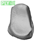 NH MER35 145 Pan troglodytes schweinfurthii lunate right ply