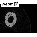 NH MER35 145 Pan troglodytes schweinfurthii metacarpal fifth right ct stack movie